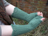 Smalldsc01556_thumb