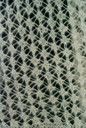 Purl_diving_starry_night_02_thumb