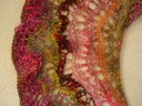 Feathernfan_organic_pdf_dec_versionmain4_thumb