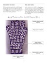 Scottish_diamond_gloves