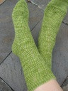 Img_6256_thumb