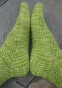 Img_6258_thumb