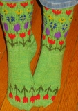 Step_into_spring_003_thumb