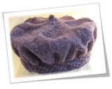 Gomphidius_violet_cover_photo_150c_thumb