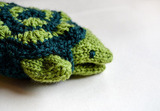 Turtle10_thumb