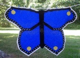 Butterflybabyblanket_thumb