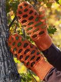 Purlawaymittens01_thumb