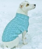 Louet-dogsweater