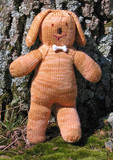 Puppy_front_thumb