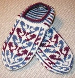 Evening_slippers