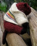 Feltedcanadianbeaver