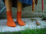 Img_7221_thumb
