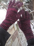 Jan15-drusilla1a_thumb