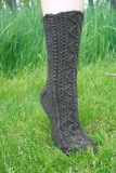 Img_8325_thumb