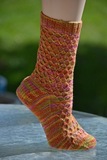 Harlequin_socks_1_thumb