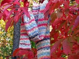 Serendipity_4_thumb