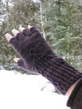 Img_5843_thumb