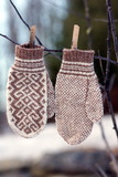 Turkish_rose_mittens_on_tree_thumb