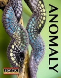 Pattern_anomaly_web_thumb