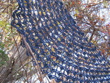Shells4_thumb