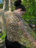 Img_5428_thumb