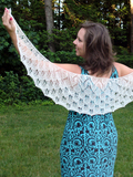 Pf1-wingspan_thumb