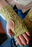 Cvmitt_medium2_thumb