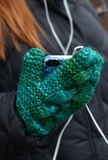Dec1-mitten1_thumb
