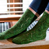 Narcissus_pseudonarcissus_socks_thumb