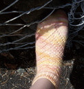 Sherbert3_thumb