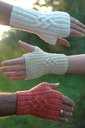 131_thumb