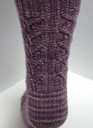 Back-view_thumb