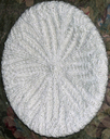 Tamflat_thumb