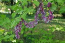 Ee_0109_3b_thumb