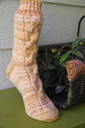 Texturedsocks_1_thumb