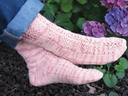 Bellingrath_sock_thumb