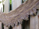 Pf_aldred_img_2026_thumb