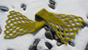 _432_emperor_scarf_on_snow_sm_thumb