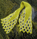 _432_emperor_scarf_on_weed_sm_thumb