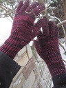 Jan15-drusilla1a_thumb