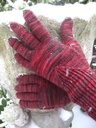 Jan15-drusilla2b_thumb