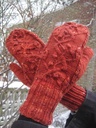 Jan15-willow1_thumb