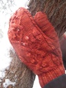 Jan15-willow3_thumb