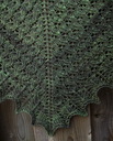 Pf_les_vignes_img_2581_thumb
