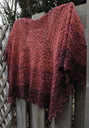 Pf_les_vignes_img_2528_thumb