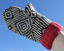 _237_paradox_sky_palm_sm_thumb