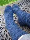 Oct8-staked5_thumb