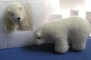 Littlebear
