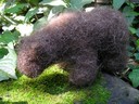 Littlebear