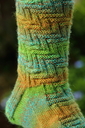 Cornupclose_1_thumb